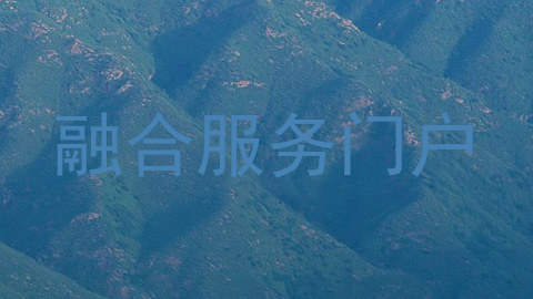 融合服务门户