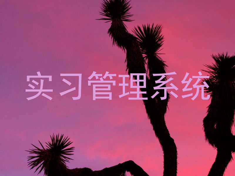 实习管理系统