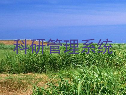 科研管理系统