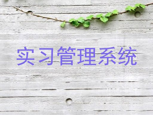 实习管理系统