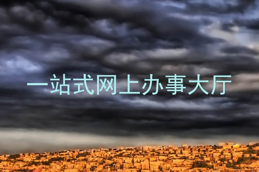 一站式网上办事大厅