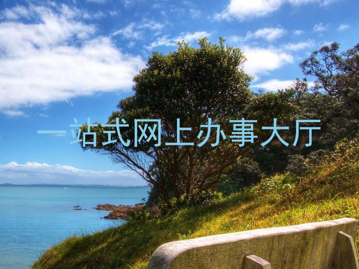 一站式网上办事大厅