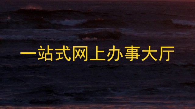 一站式网上办事大厅