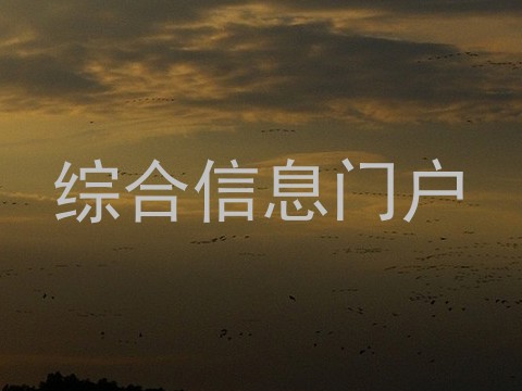 综合信息门户
