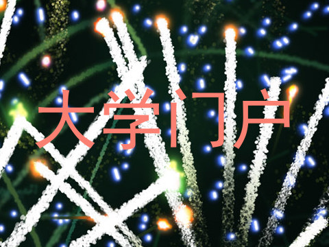 大学门户