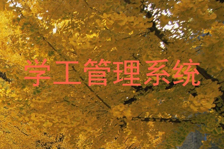 学工管理系统