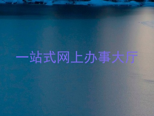 一站式网上办事大厅