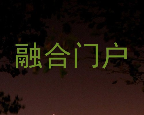 融合门户