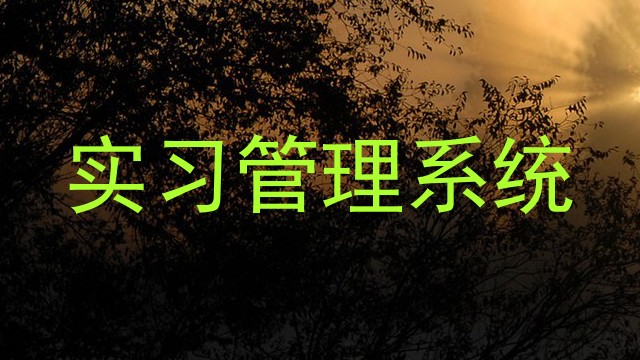 实习管理系统