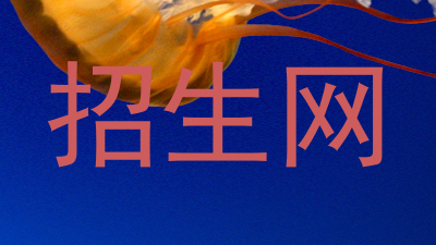 招生网