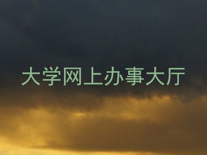 大学网上办事大厅