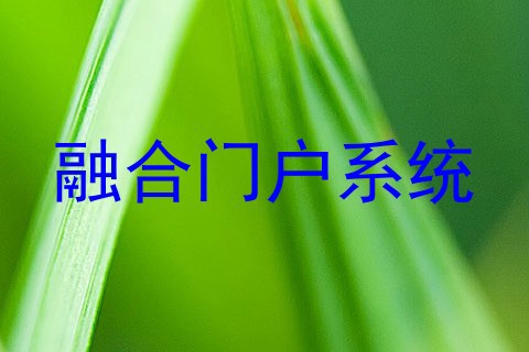 融合门户系统