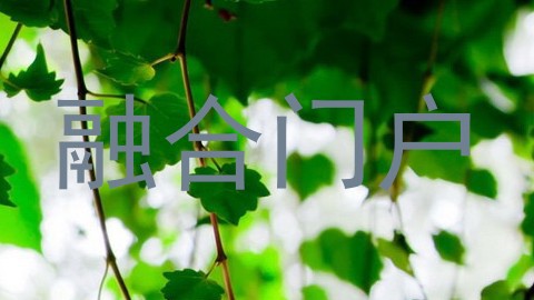 融合门户