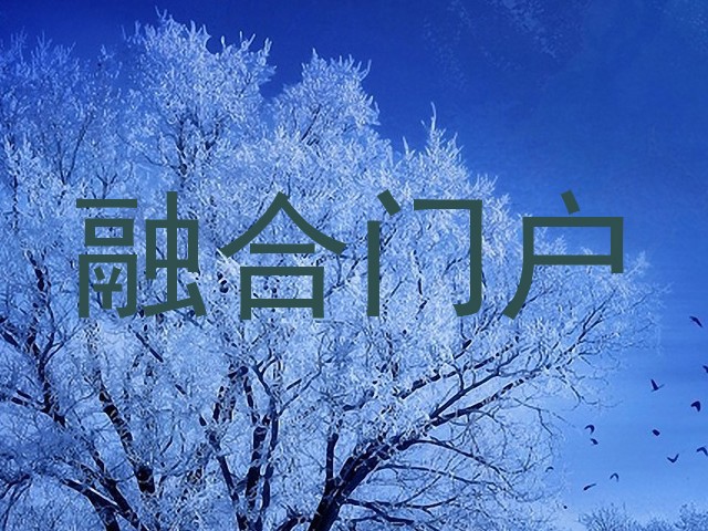 融合门户