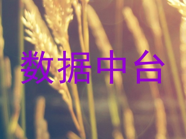 数据中台
