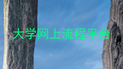 大学网上流程平台
