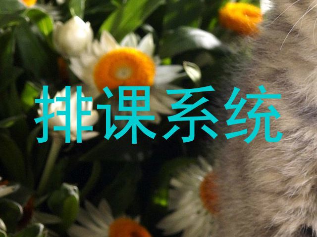 排课系统