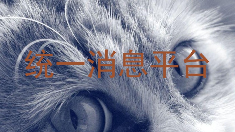 统一消息平台