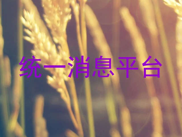 统一消息平台