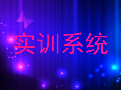实训系统