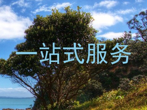 一站式服务
