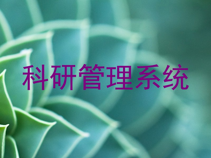 科研管理系统