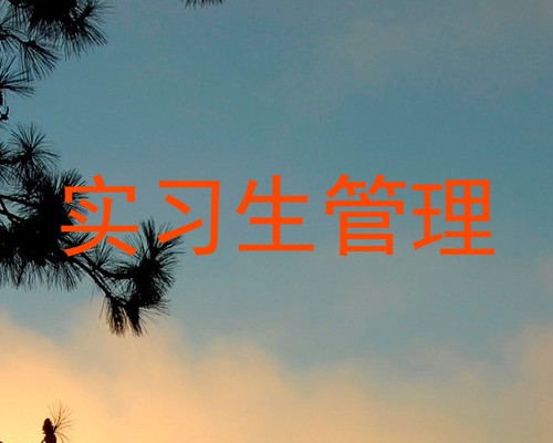 实习生管理