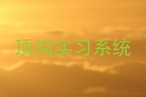 顶岗实习系统