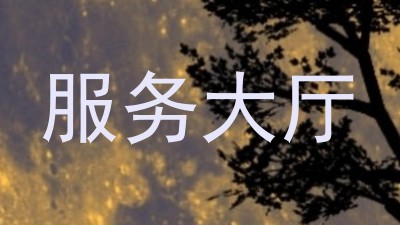 服务大厅