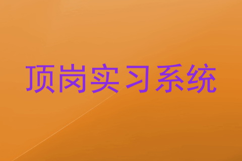 顶岗实习系统
