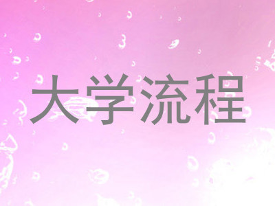 大学流程