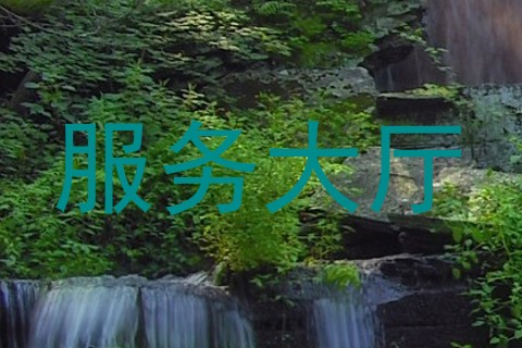 服务大厅
