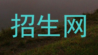 招生网