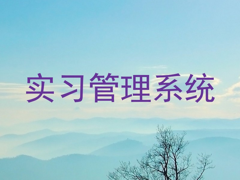 实习管理系统