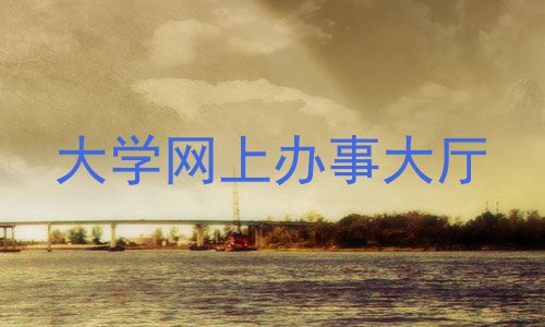 大学网上办事大厅