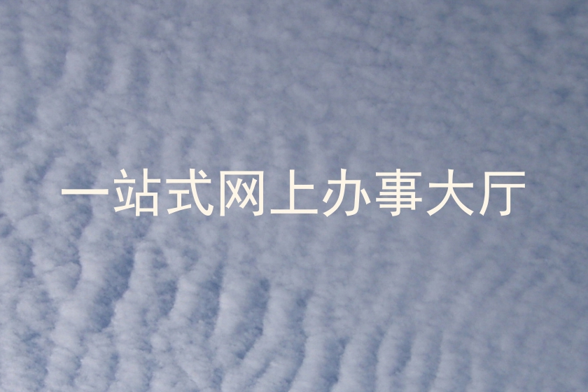 一站式网上办事大厅