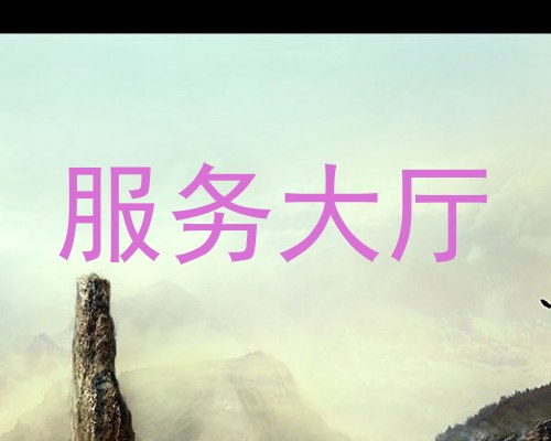 服务大厅