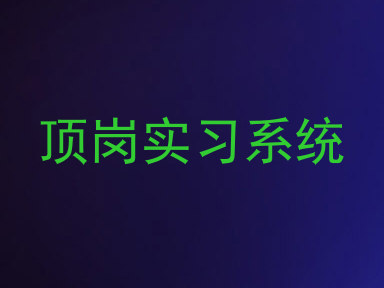顶岗实习系统
