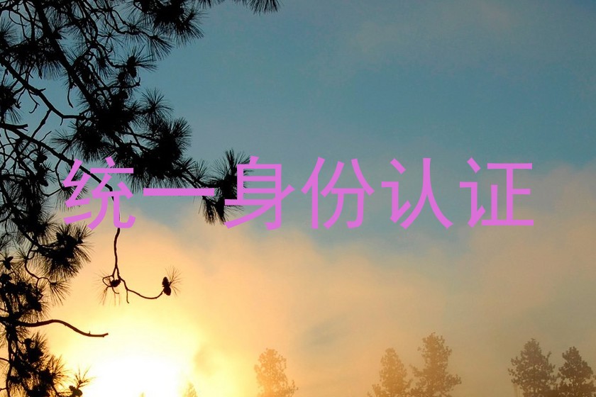 统一身份认证