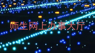 师生网上办事大厅