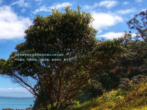 高校科研管理系统选型阶段的痛点与优化路径
**关键词:科研管理、系统选型、流程优化、数字化