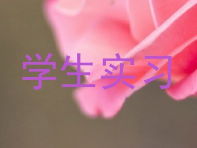 学生实习