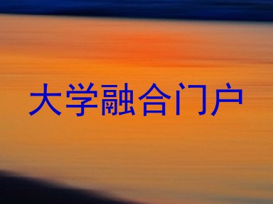 大学融合门户