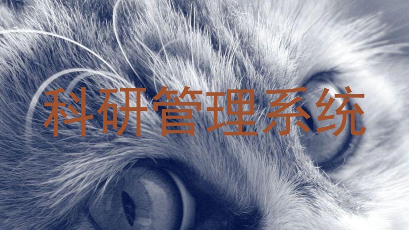科研管理系统