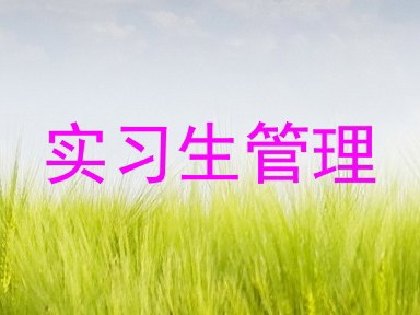 实习生管理