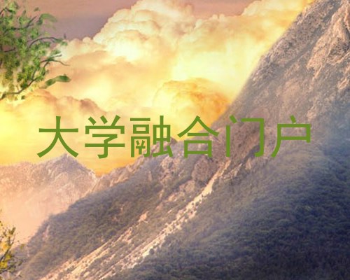 大学融合门户