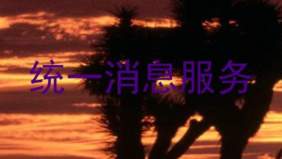 统一消息服务