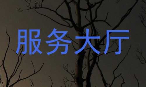 服务大厅