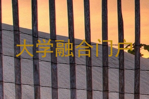 大学融合门户