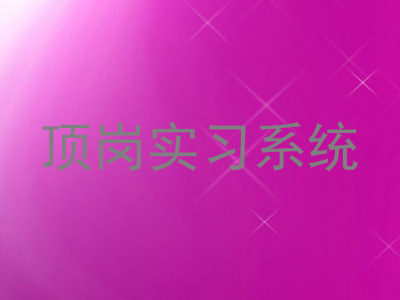 顶岗实习系统